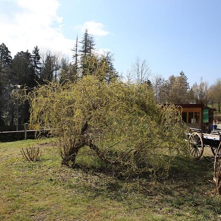 Le Veymont Villa Saint-Martin-en-Vercors Eksteriør billede