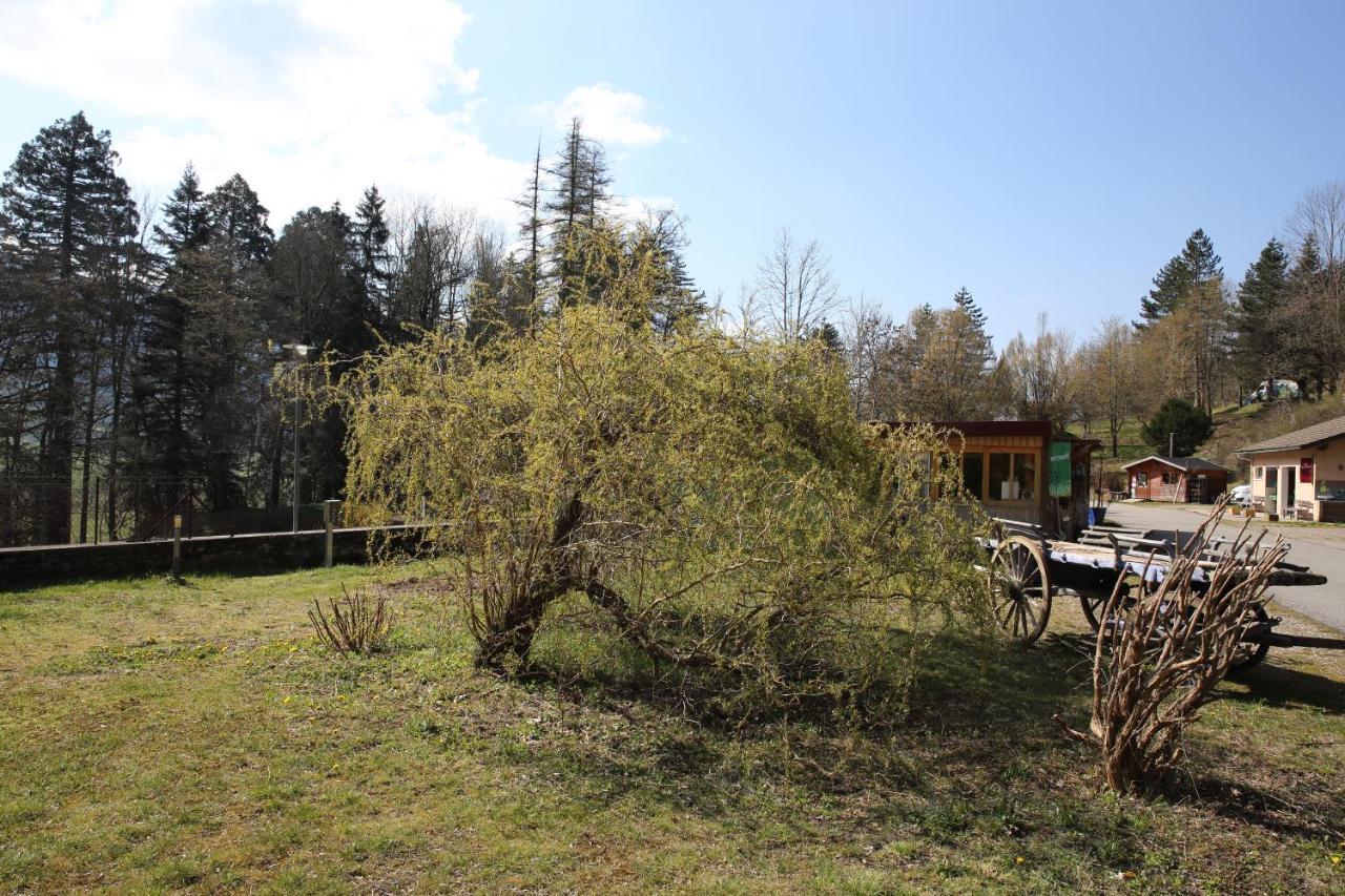 Le Veymont Villa Saint-Martin-en-Vercors Eksteriør billede
